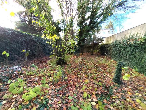 Local Commercial 6 pièces - 364 m²