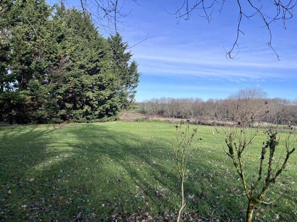 Terrain à vendre |  Fargues |  1300 m²