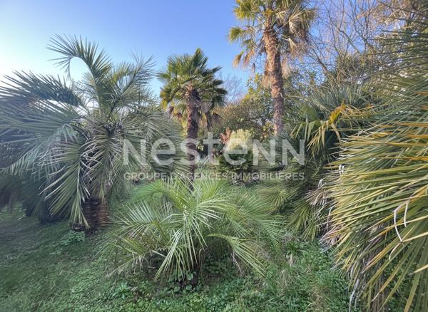 Maison de Prestige à Vendre à Plérin