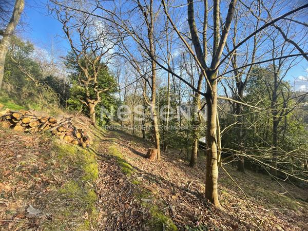Maison de Prestige à Vendre à Plérin
