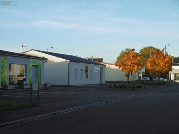 Achat - Maison La Châtre 36400 269 m 2 849 m 2