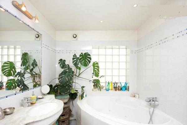 Maison Les Lilas 9 pièce(s) 200 m2 avec jardin et terrasse.