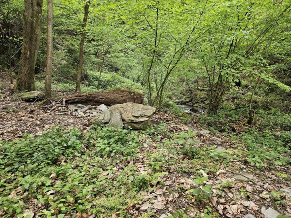 Agréable parcelle de forêt à Saint-Paul-sur-Isère (73730)