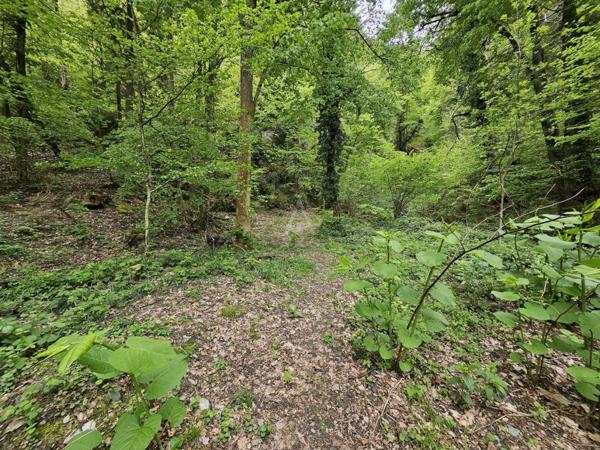 Agréable parcelle de forêt à Saint-Paul-sur-Isère (73730)