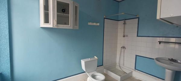 Projet immobilier au potentiel remarquable, . local commercial loué à l'année. Gros potentiel d'aide mobilisable