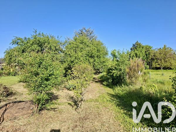 Maison à vendre 6 pièces 134 m² Lys-Haut-Layon