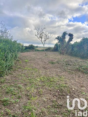 Maison à vendre 3 pièces 70 m² Steenvoorde