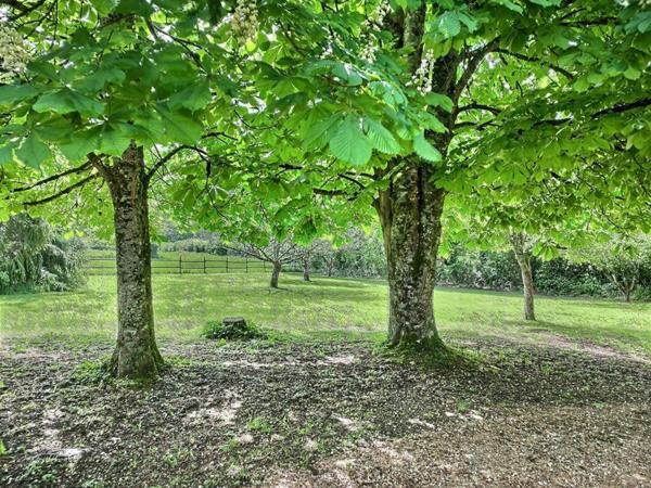 Maison Saint Andre en Morvan 8 pièces