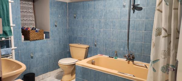 Maison à vendre à Chaunay (86510) - Vienne