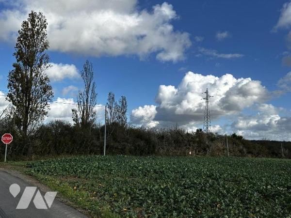 Terrain en friche de 5 880 m²