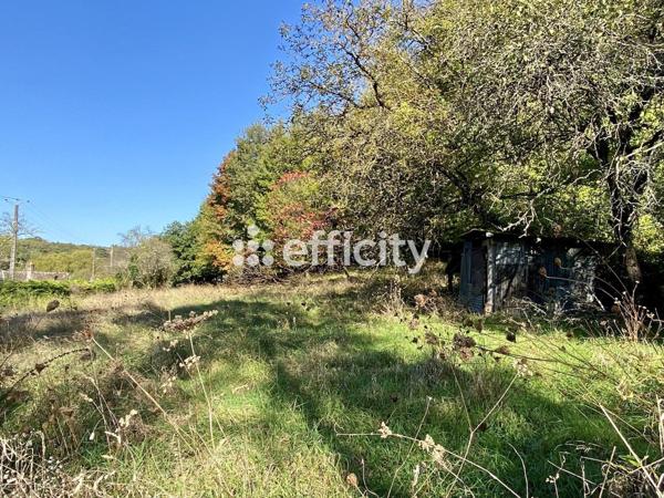 Maison 3 pièces - 57 m² Exclusivité efficity