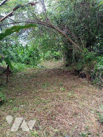 Grand terrain en zone constructible et naturelle