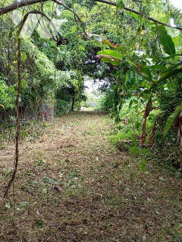 Grand terrain en zone constructible et naturelle