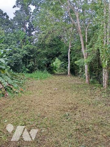 Grand terrain en zone constructible et naturelle