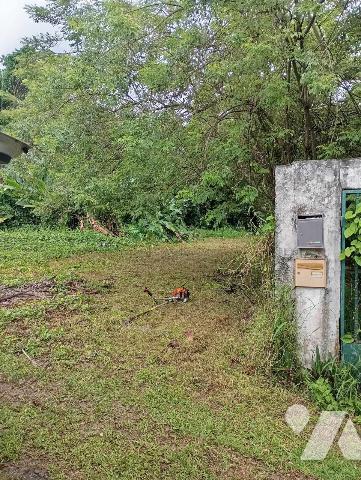 Grand terrain en zone constructible et naturelle