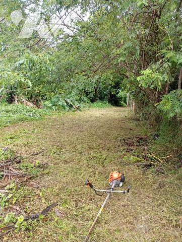 Grand terrain en zone constructible et naturelle