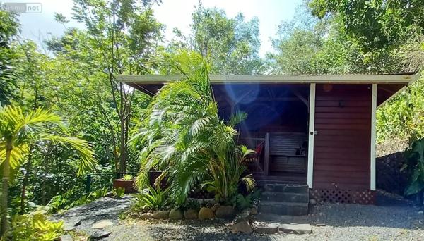 Achat - Propriété | Autres types de propriété Deshaies 97126 9 pièces 312 m 2 12035 m 2
