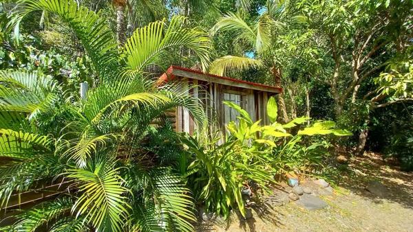 Achat - Propriété | Autres types de propriété Deshaies 97126 9 pièces 312 m 2 12035 m 2