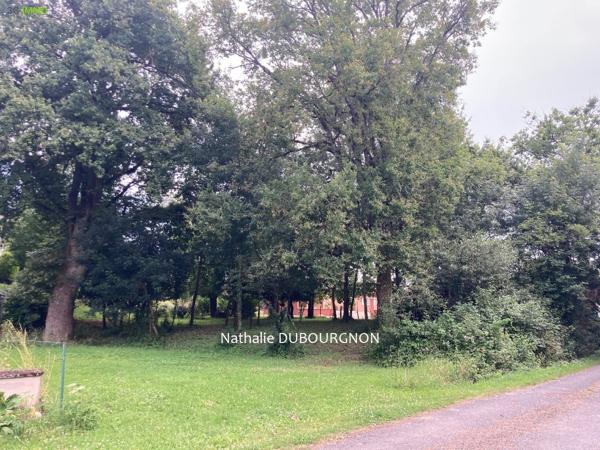 Vente / Terrain constructible