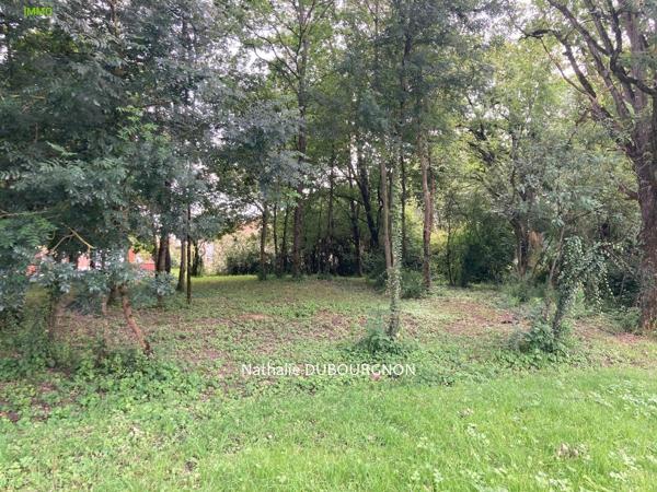 Vente / Terrain constructible