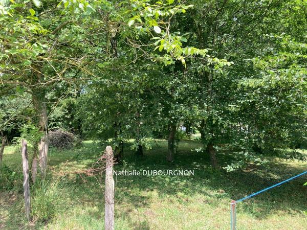 Vente / Terrain constructible