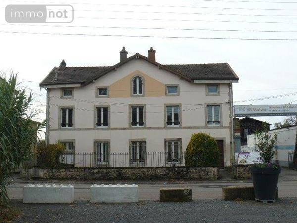 Local d'activité à vendre à Rambervillers dans les Vosges (88700), ref : 2253