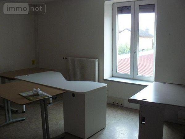 Local d'activité à vendre à Rambervillers dans les Vosges (88700), ref : 2253