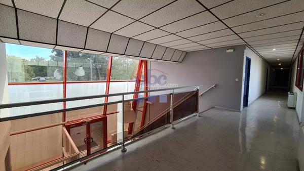 Location Bureau 31 pièces 1062 m2 à Albi