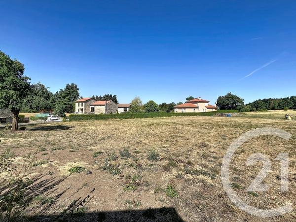 Terrain à vendre  1258 m 2   GRAZAC  - 43