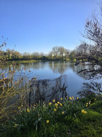 Vente / Terrain de loisirs