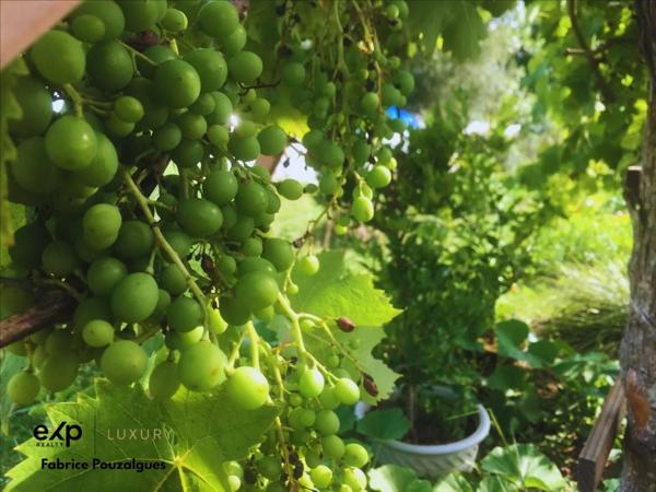Propriété rare de 6 hectares avec lac privé – résidence ou projet nature