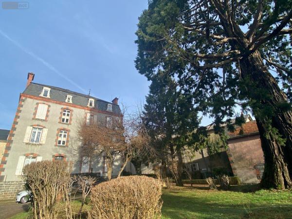 Immeuble de rapport à vendre à Mauriac dans le Cantal (15200), ref : 15060/1124