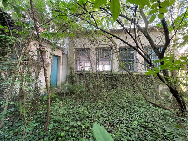 LADON - MURS COMMERCIAUX LIBRES 79 m²
