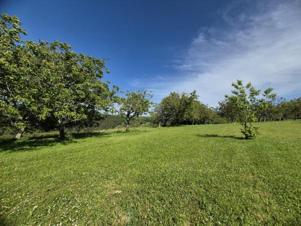 Superbe propriété en pierre de caractère avec gîte, annexe et vue dégagée