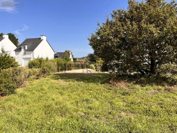 Achat - Terrain à bâtir Sarzeau 56370 960 m 2