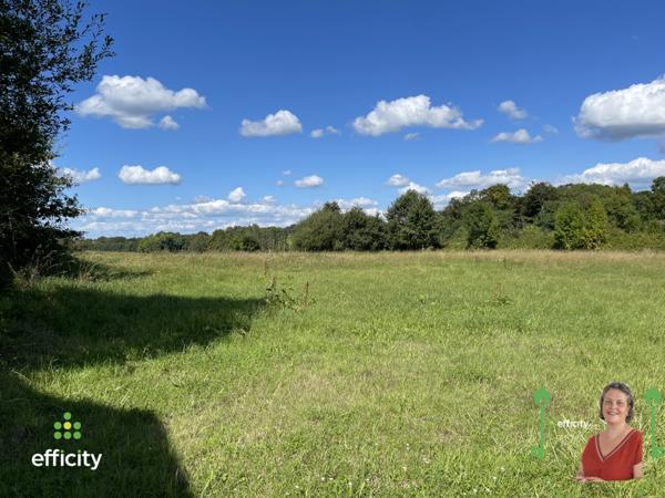 Maison 4 pièces - 157 m²