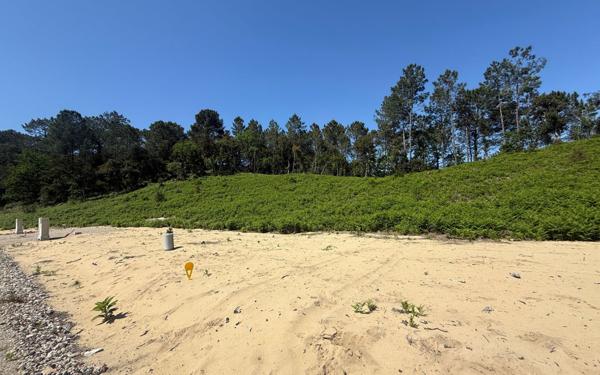 Terrain à vendre    Labenne