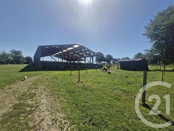 Terrain à vendre  11464 m 2   BLOSSEVILLE  - 76