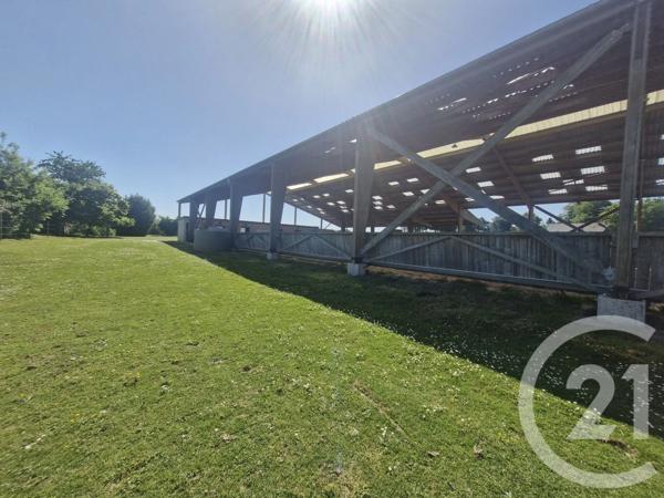 Terrain à vendre  11464 m 2   BLOSSEVILLE  - 76