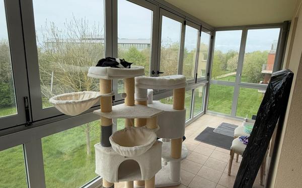 Appartement à louer