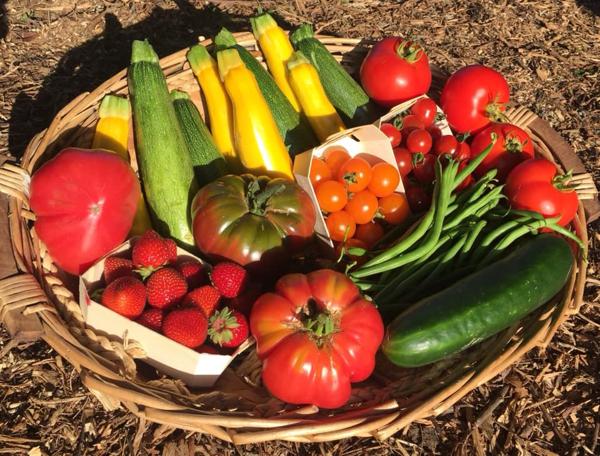 Bien d'exception à vendre - Gîte avec logements insolites et prestations haut de gamme