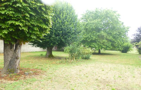 Maison ancienne sur grand terrain avec dépendance