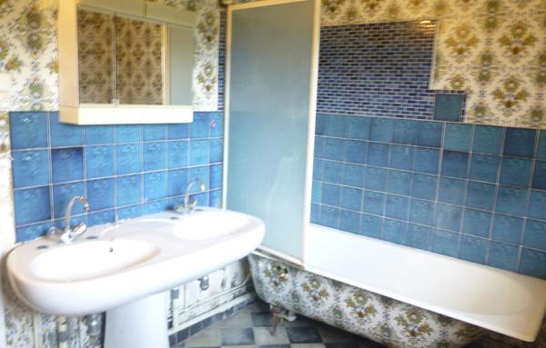 Maison ancienne sur grand terrain avec dépendance