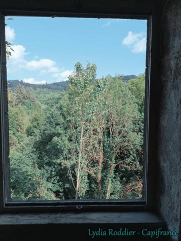 Maison à vendre 11 pièces - Château-Gaillard (63300)