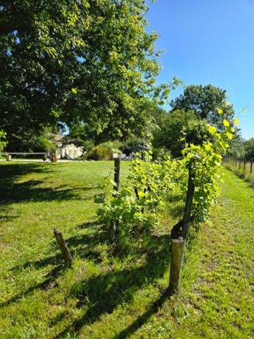 Maison en pierres 220m² piscine, atelier, chai, 11hectares