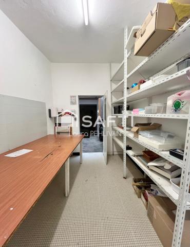 idéal investisseur ! Appartement + local co avec terrasse surplombant le centre ville de St-Amour