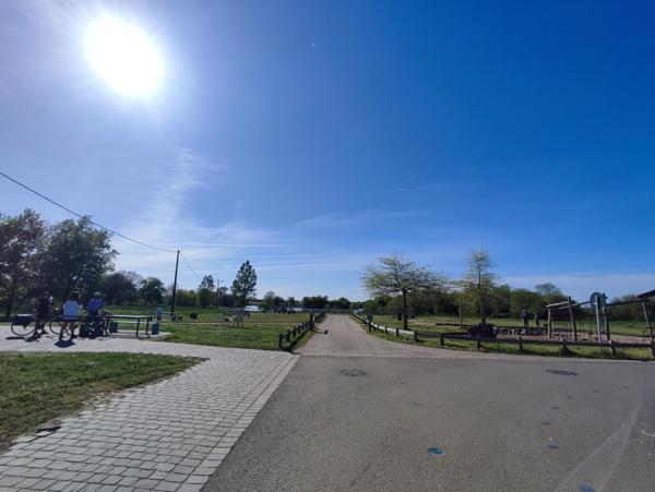 Local Commercial 12 pièces - 375 m²