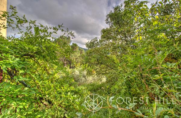 Amélie-les-Bains-Palalda (66110) Maison avec appartement indépendant