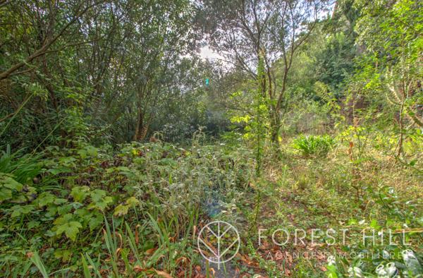 Amélie-les-Bains-Palalda (66110) Maison avec appartement indépendant