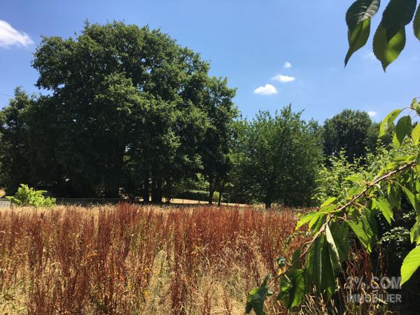 Terrain Constructible 1115 m² dans Quartier Résidentiel Sautron (44880)